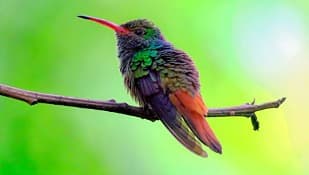 Biodiversity potential — documentary photography
